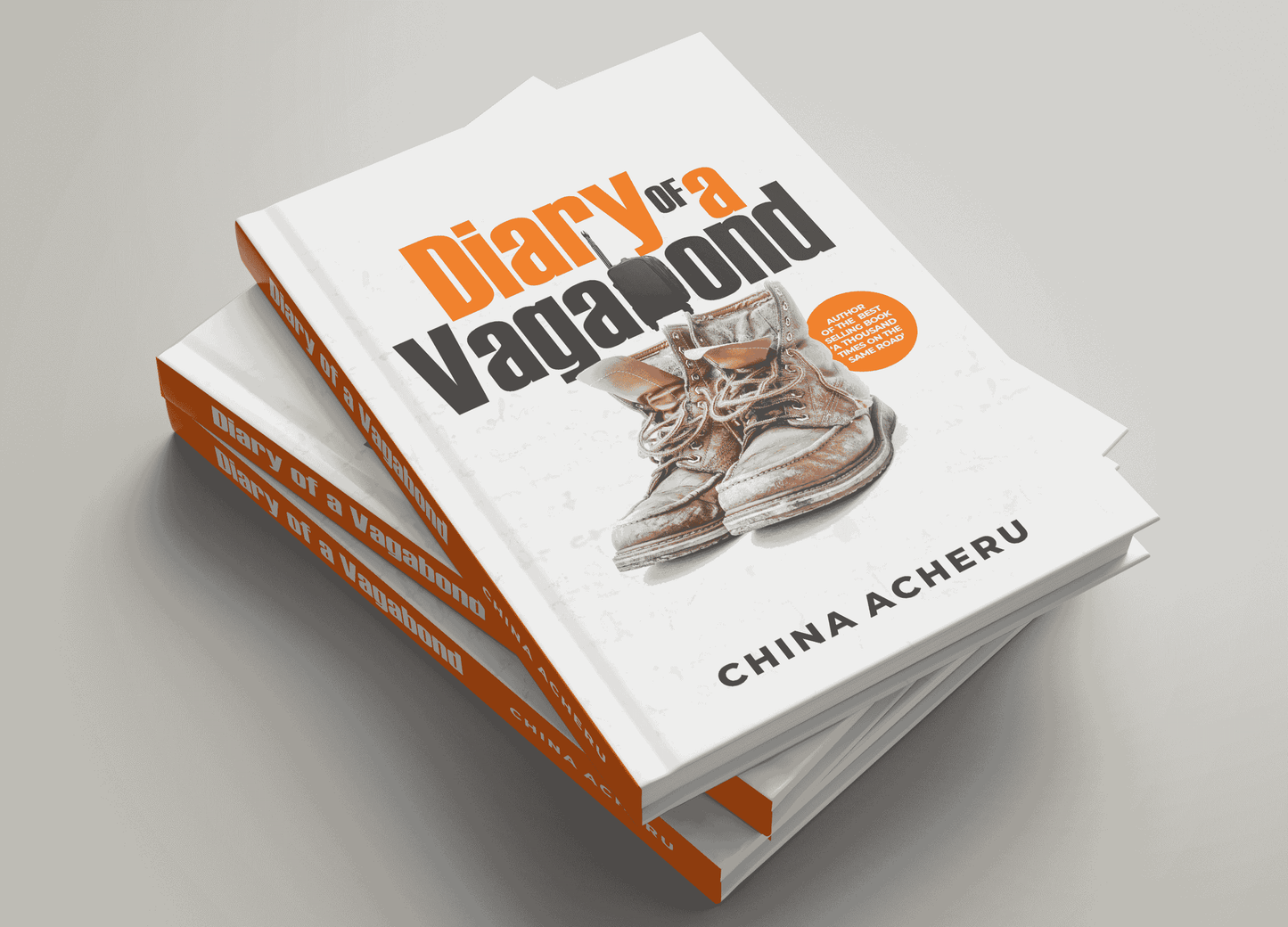 Diary Of A Vagabond by China Acheru
